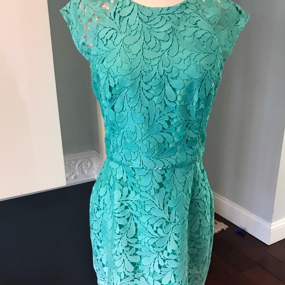 Ombre Lace Sheath Dress